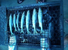 2012-07-okaya03