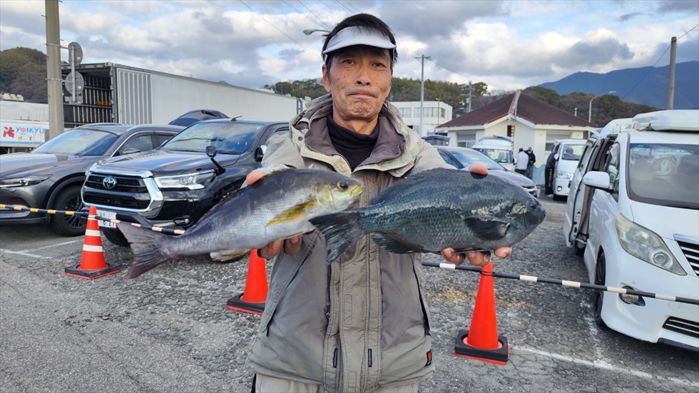 釣行記（日振島）2023.04(グレ2位)