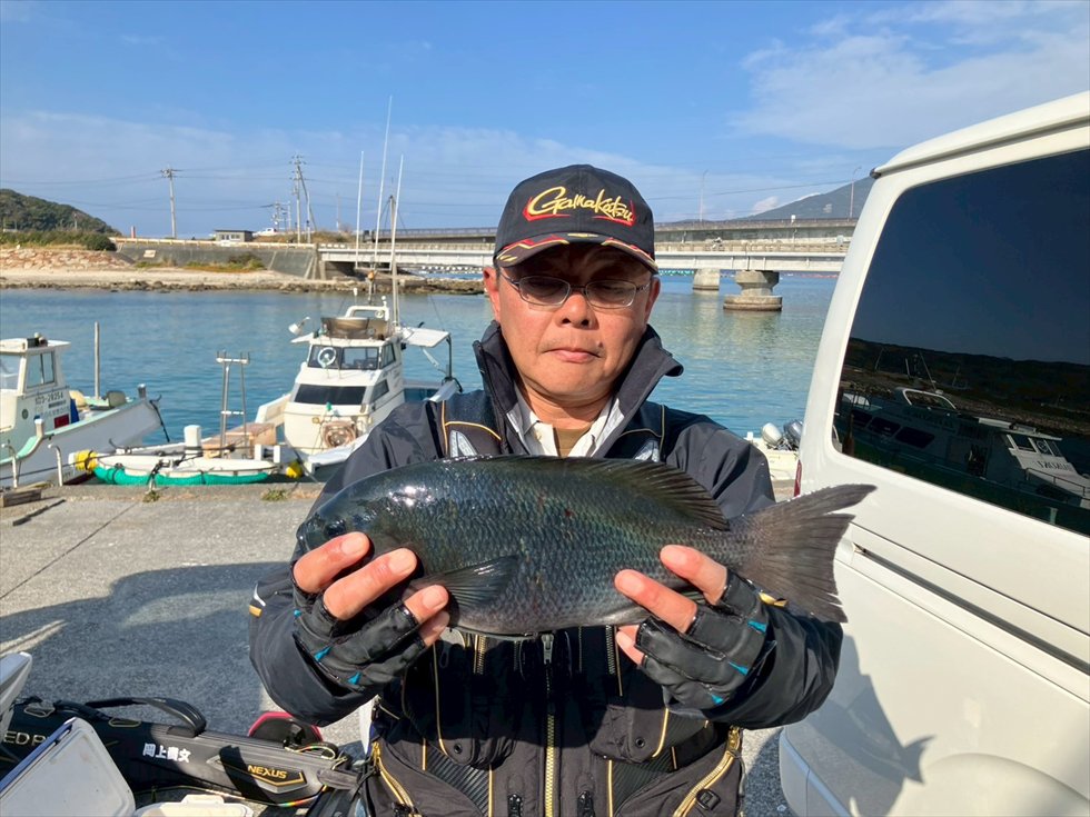 釣行記（柏島）2026.01(グレ2位)