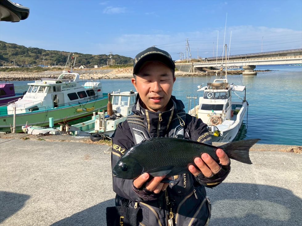 釣行記（柏島）2026.01(グレ3位)