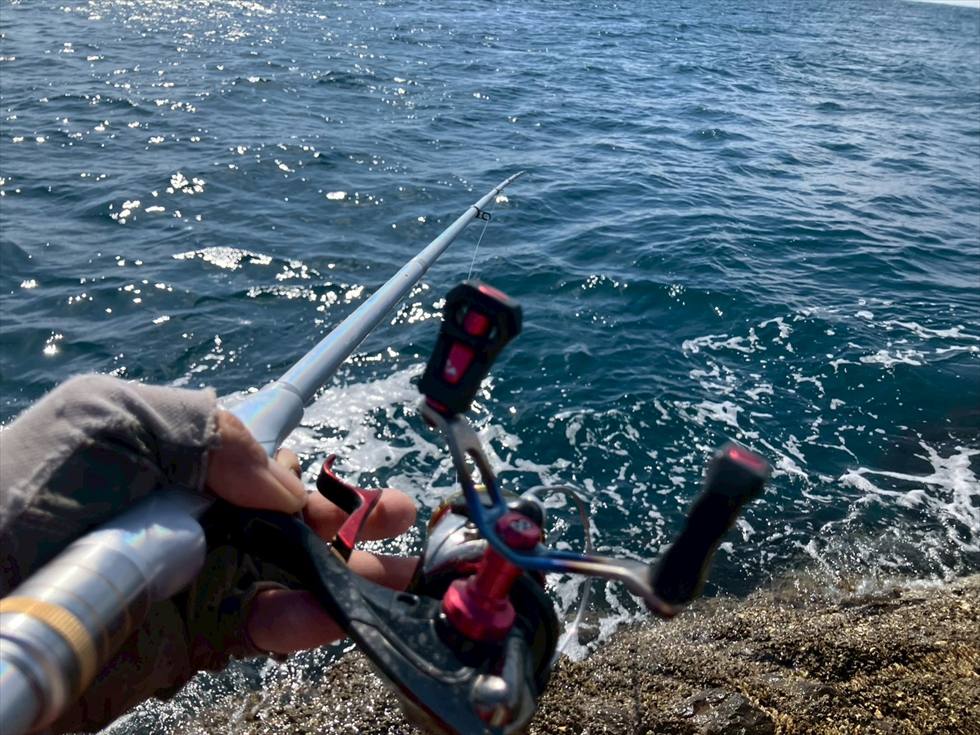 釣行記(御五神島)2026.03(7)